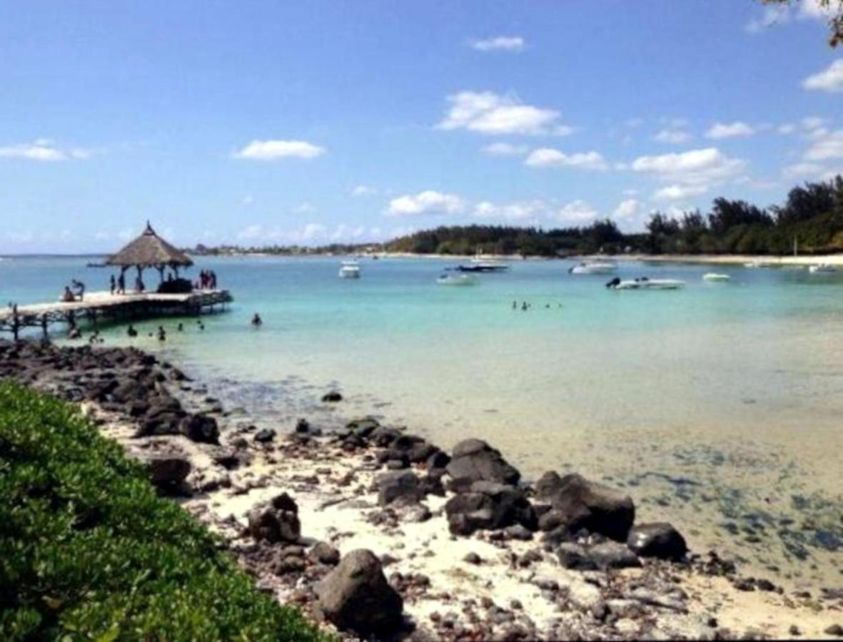 La Case Bois Creole Albion Exteriér fotografie