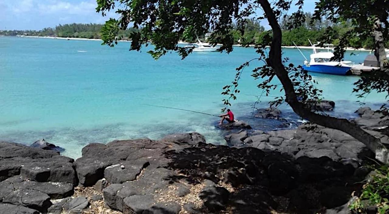 La Case Bois Creole Albion Exteriér fotografie